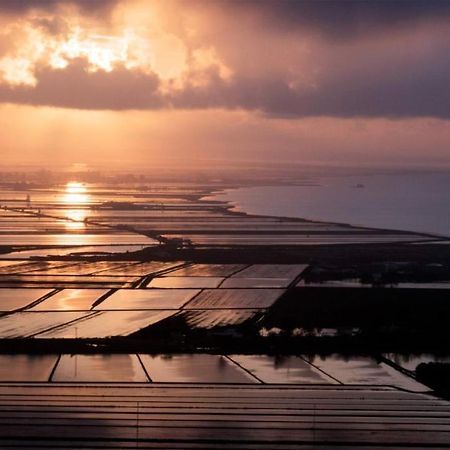 Entrellacunes El Poblenou del Delta Exteriér fotografie