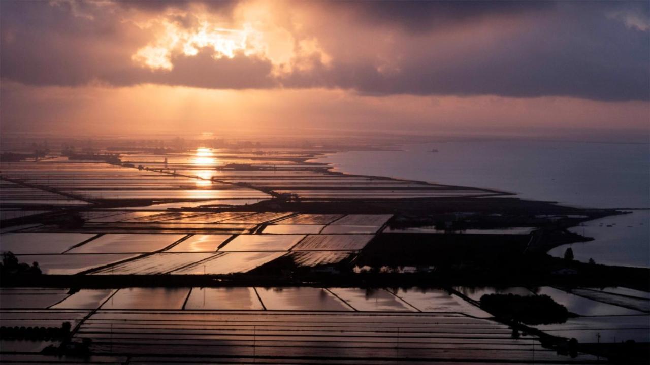 Entrellacunes El Poblenou del Delta Exteriér fotografie